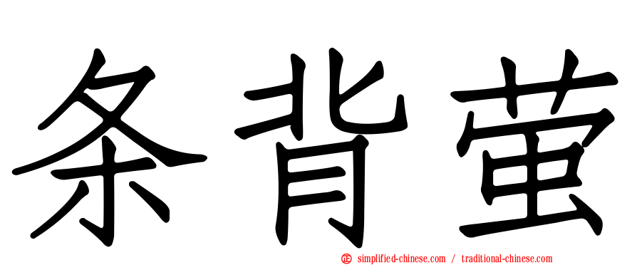条背萤