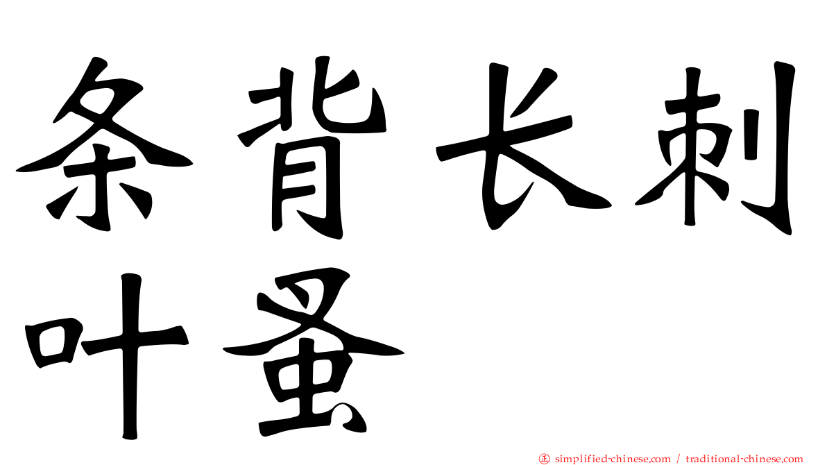 条背长刺叶蚤