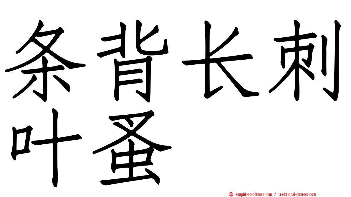 条背长刺叶蚤