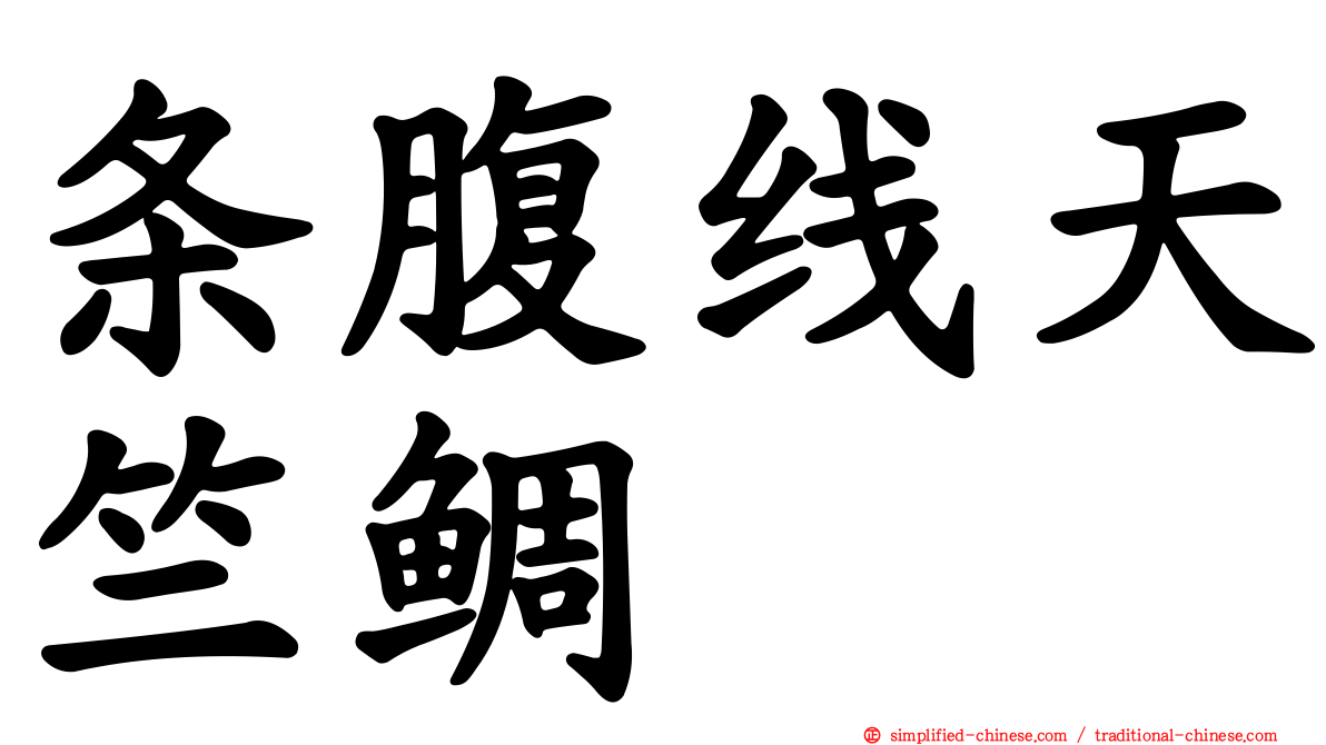 条腹线天竺鲷