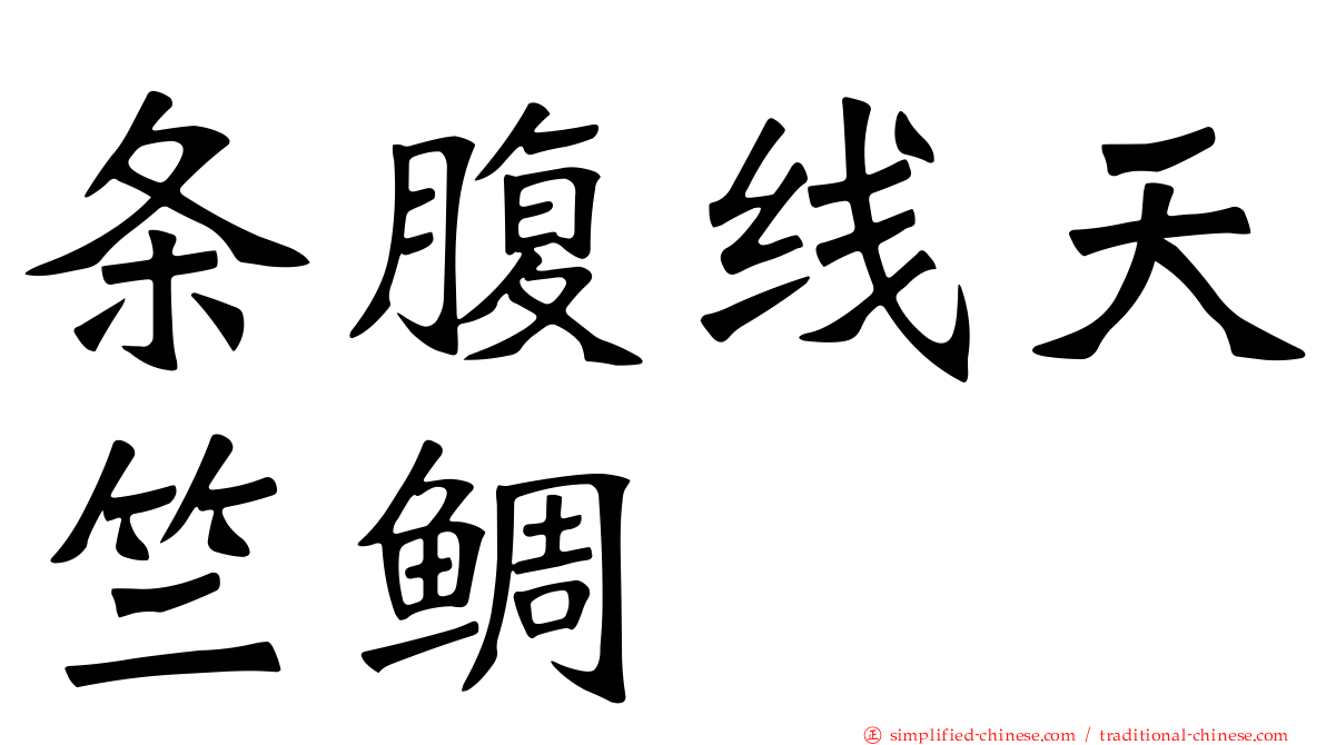 条腹线天竺鲷