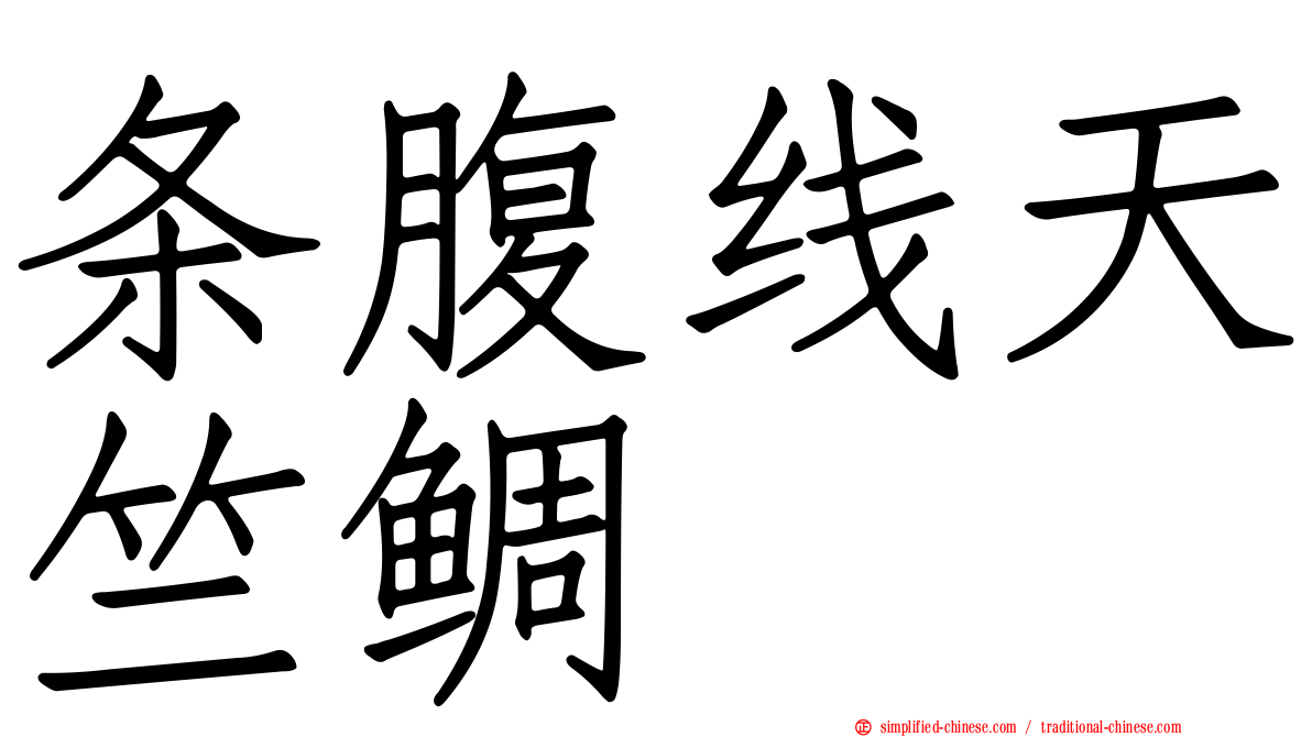 条腹线天竺鲷