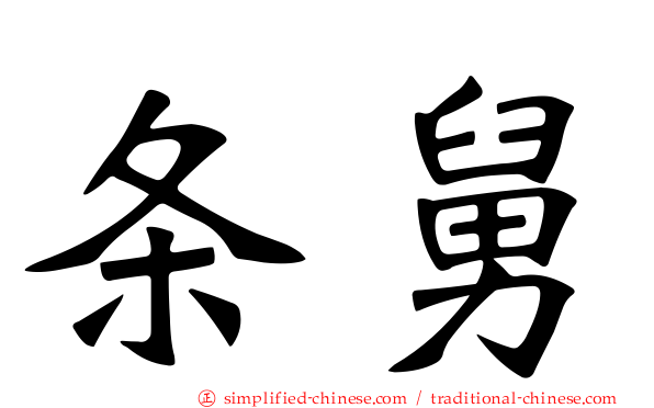 条舅