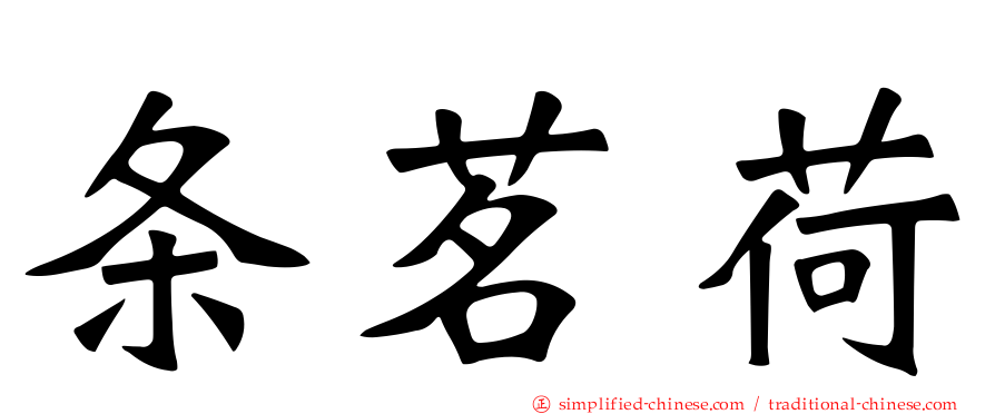 条茗荷