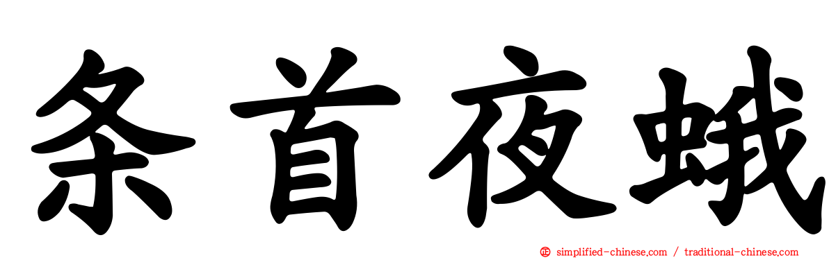 条首夜蛾