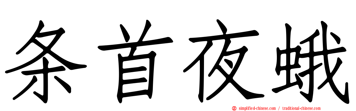 条首夜蛾