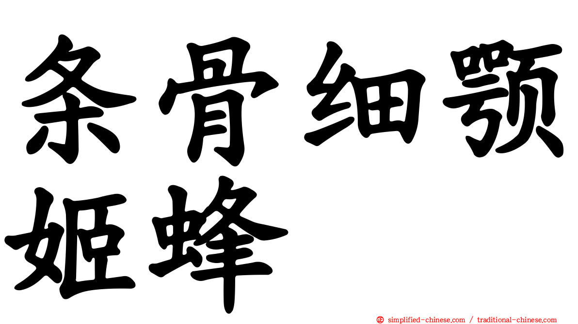 条骨细颚姬蜂