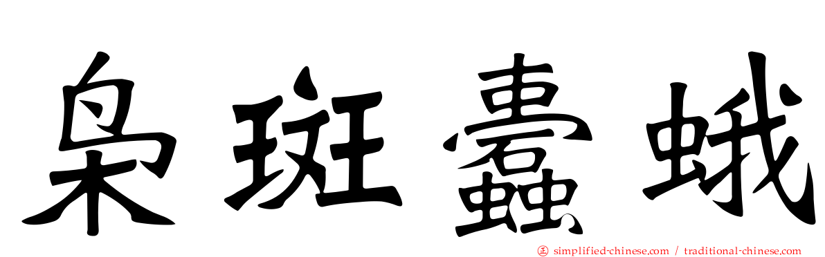 枭斑蠹蛾