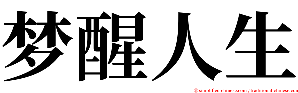 梦醒人生 serif font