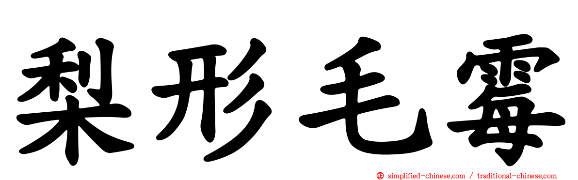 梨形毛霉