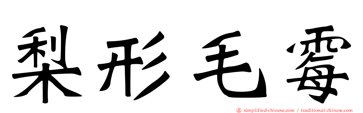 梨形毛霉
