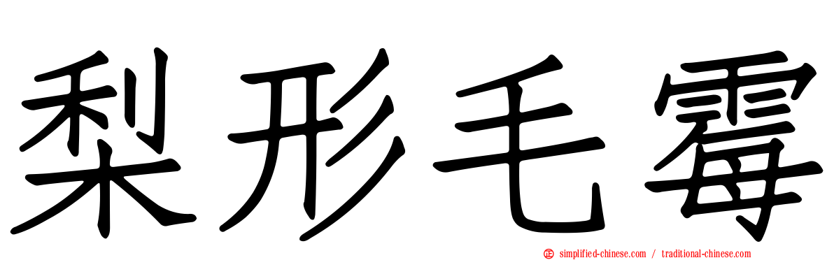 梨形毛霉