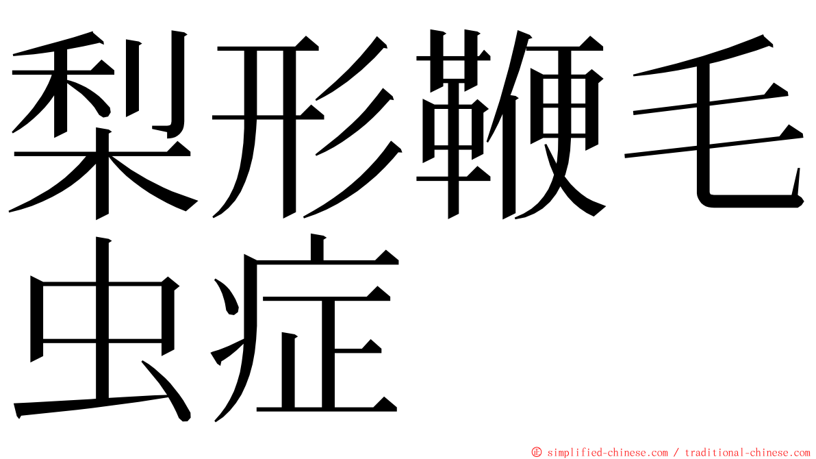 梨形鞭毛虫症 ming font