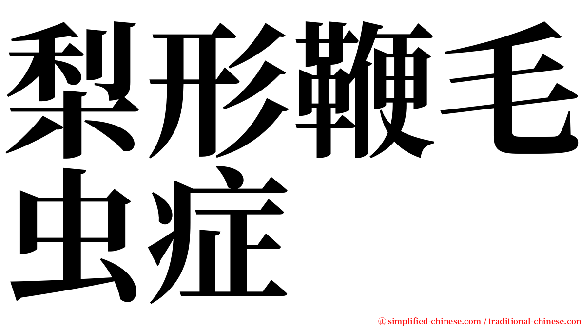 梨形鞭毛虫症 serif font