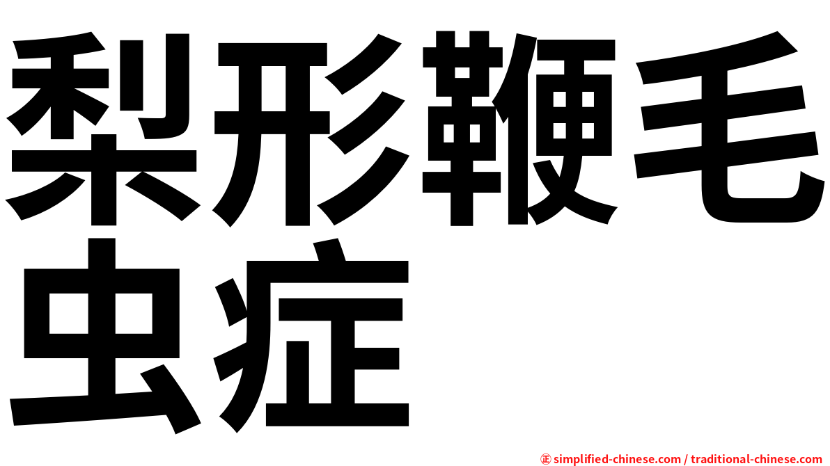 梨形鞭毛虫症