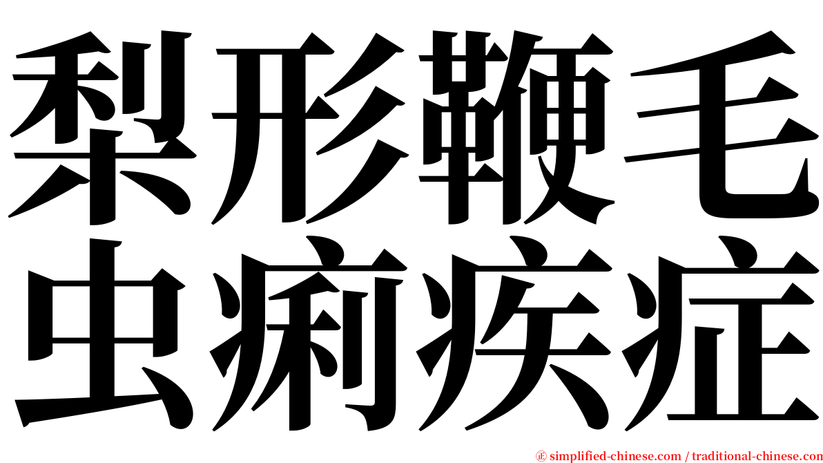梨形鞭毛虫痢疾症 serif font