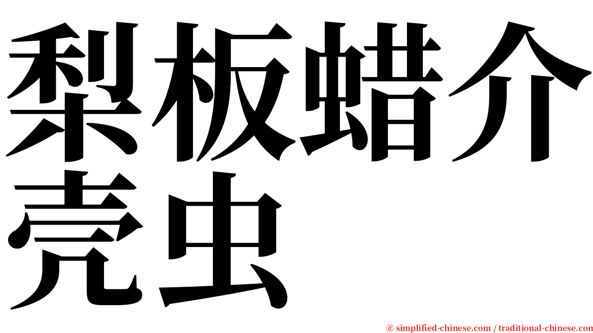 梨板蜡介壳虫 serif font
