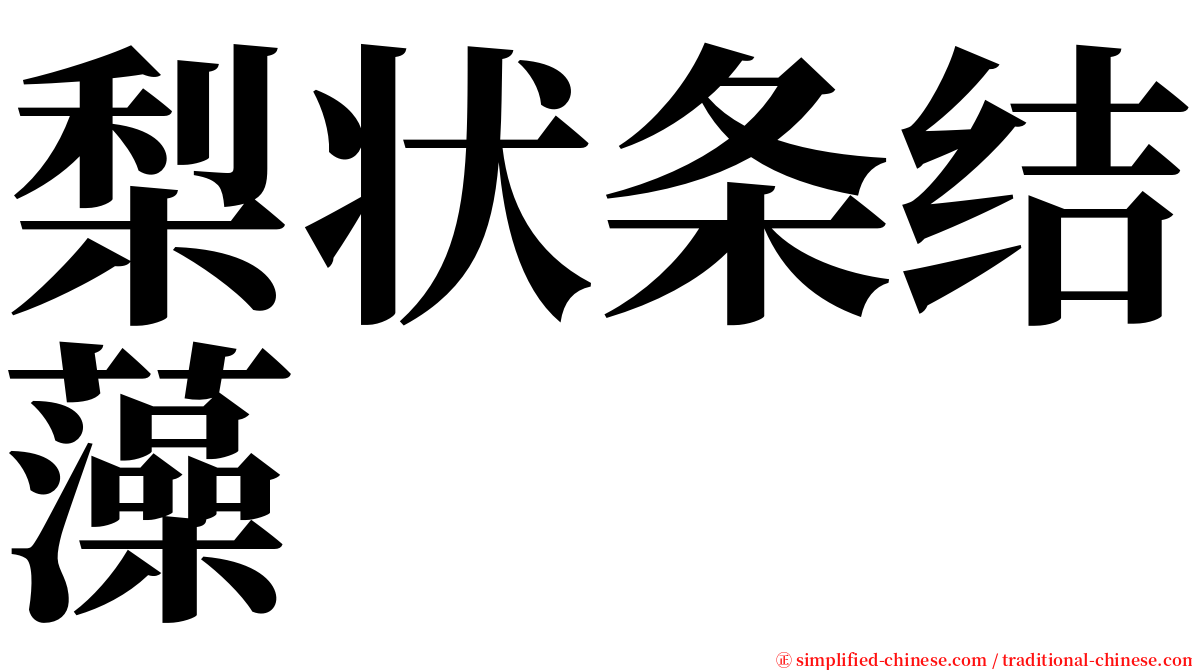 梨状条结藻 serif font