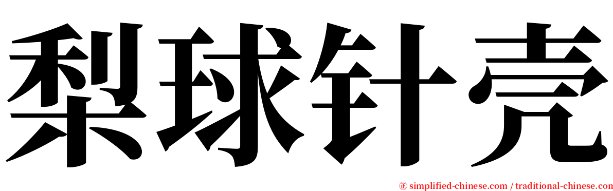 梨球针壳 serif font