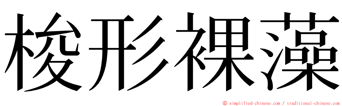 梭形裸藻 ming font
