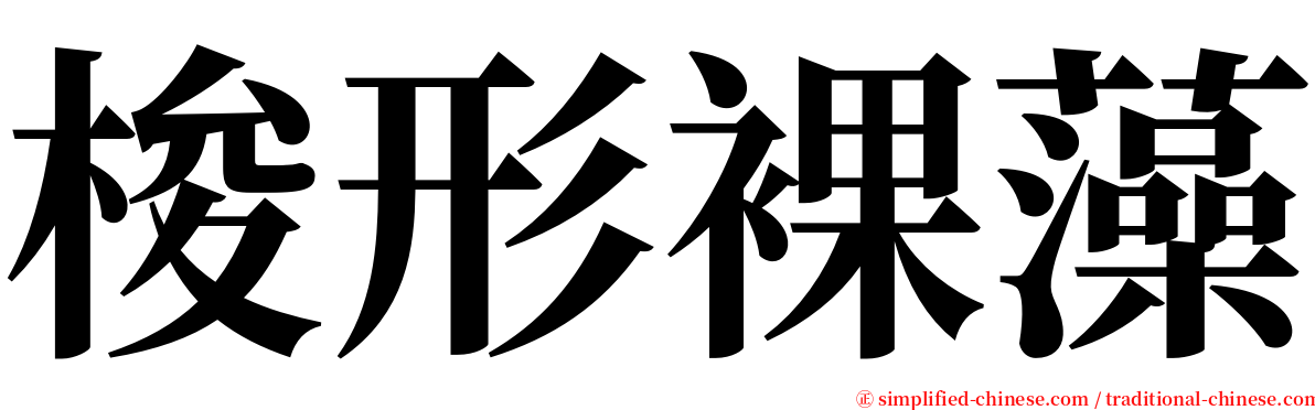 梭形裸藻 serif font