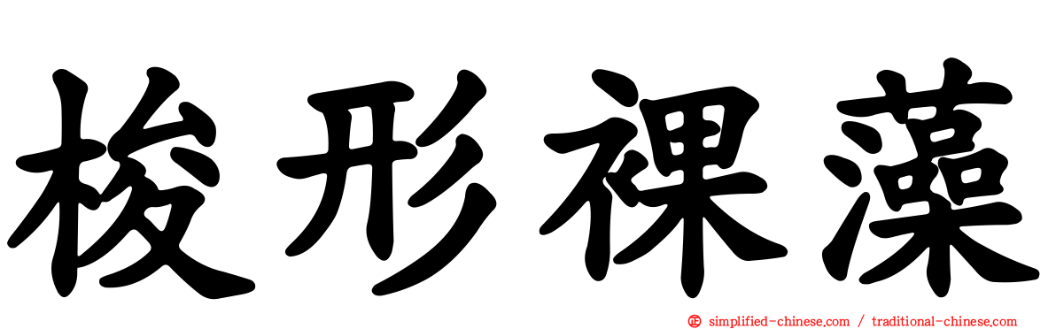 梭形裸藻