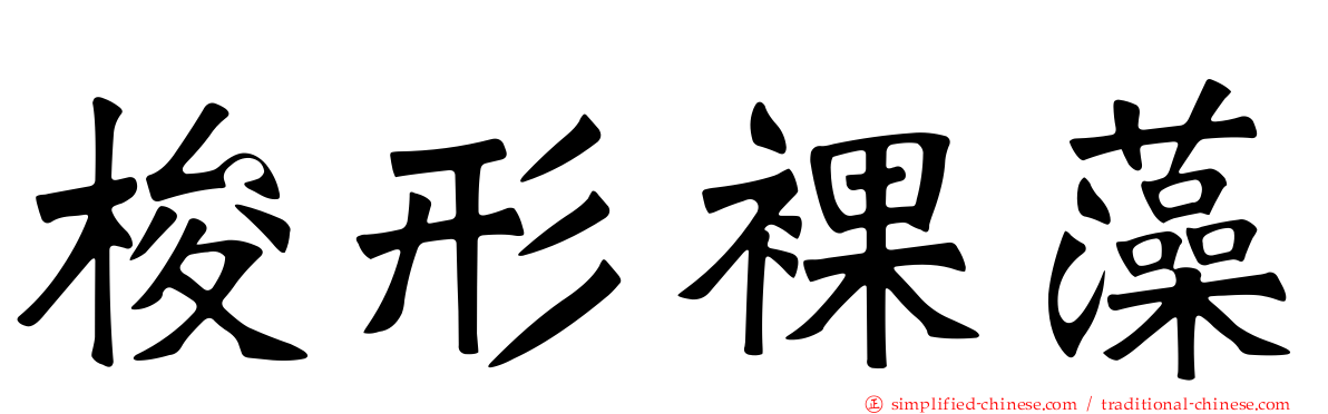 梭形裸藻