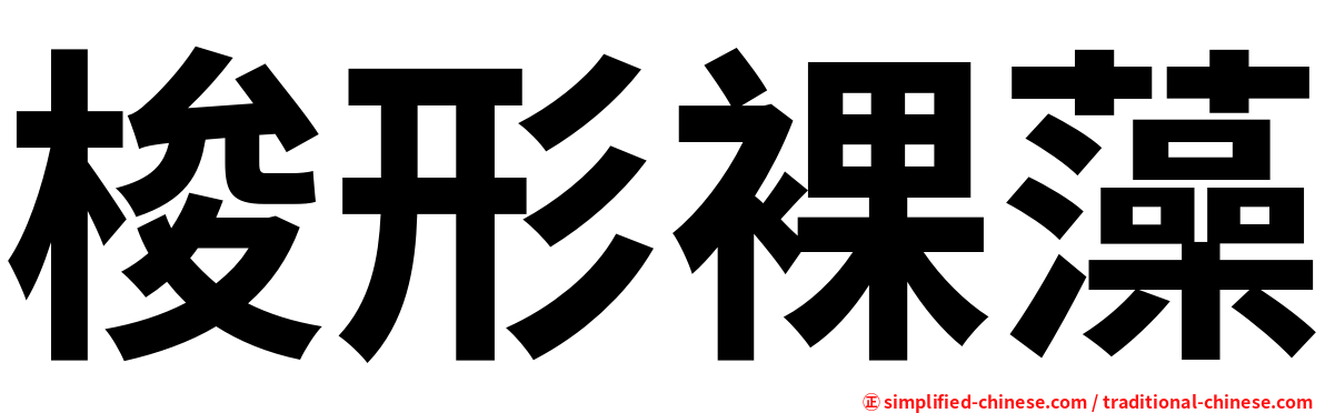 梭形裸藻