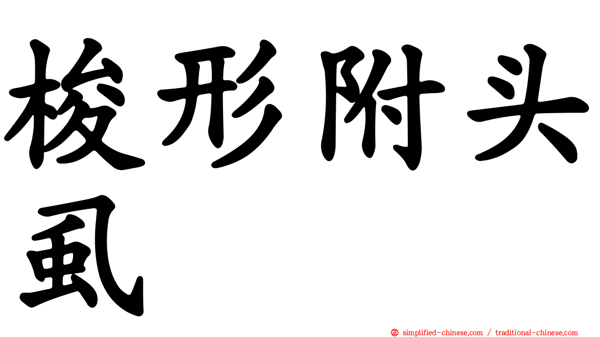 梭形附头虱