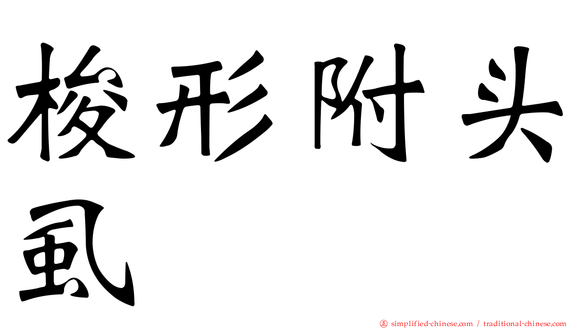 梭形附头虱