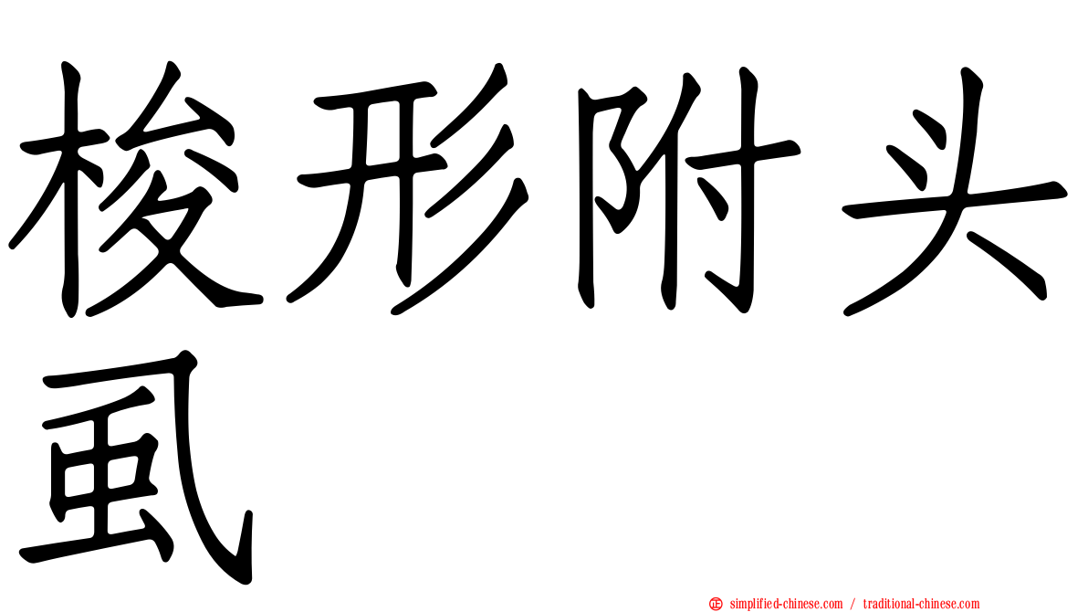 梭形附头虱
