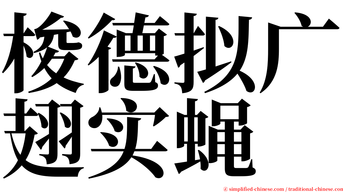梭德拟广翅实蝇 serif font