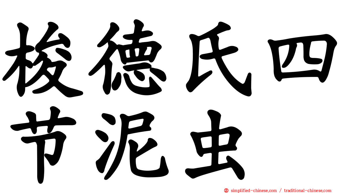 梭德氏四节泥虫