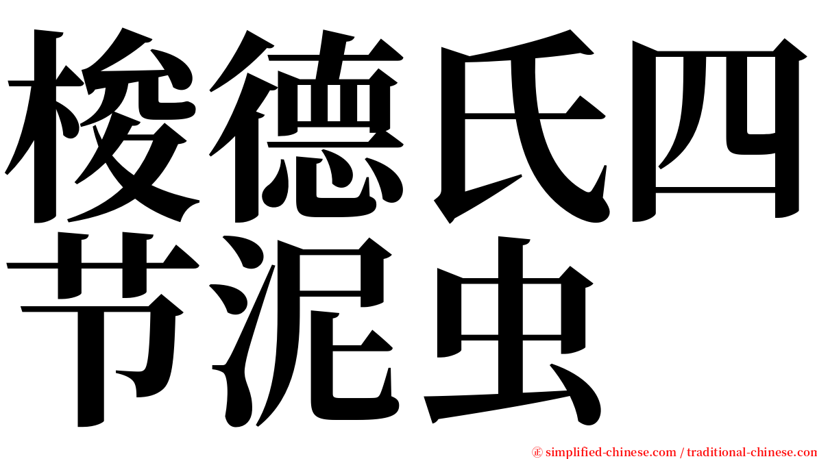 梭德氏四节泥虫 serif font