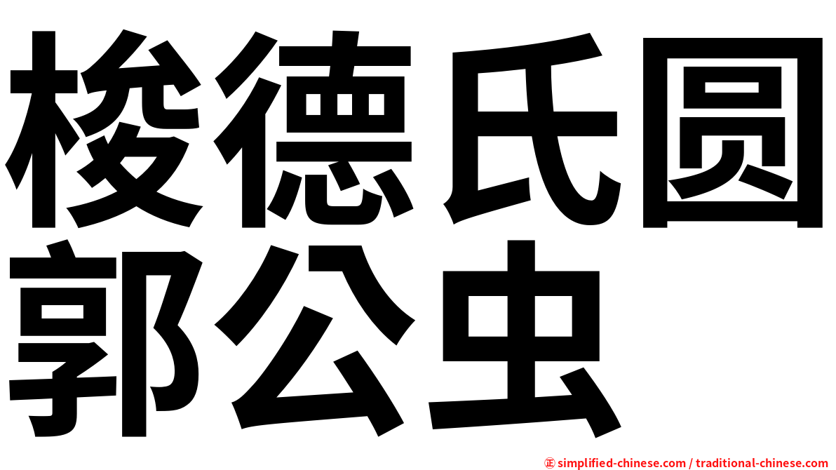 梭德氏圆郭公虫