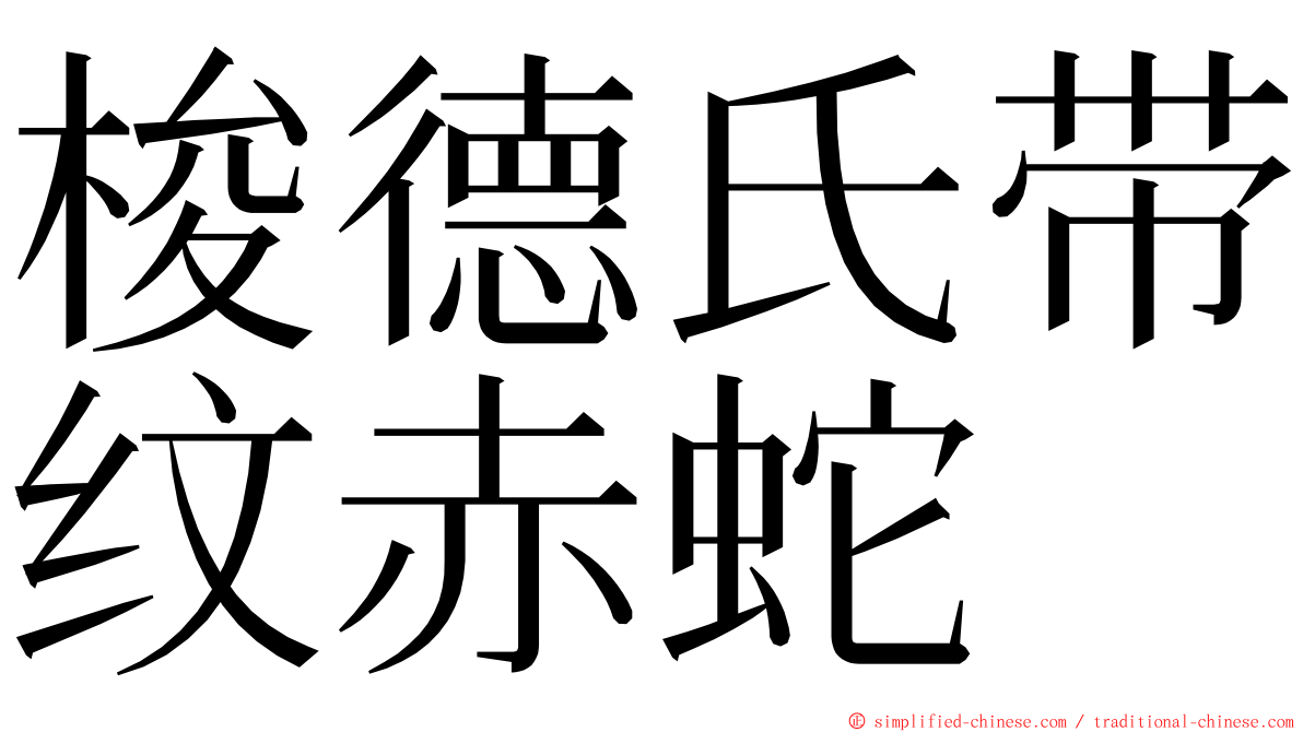 梭德氏带纹赤蛇 ming font
