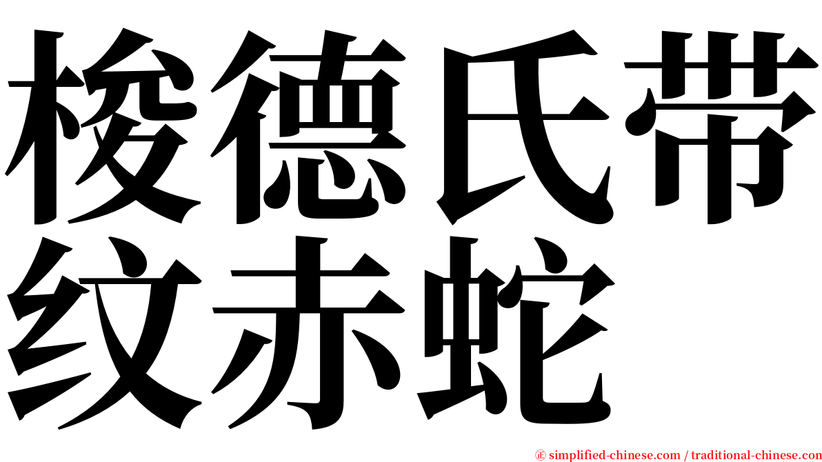 梭德氏带纹赤蛇 serif font