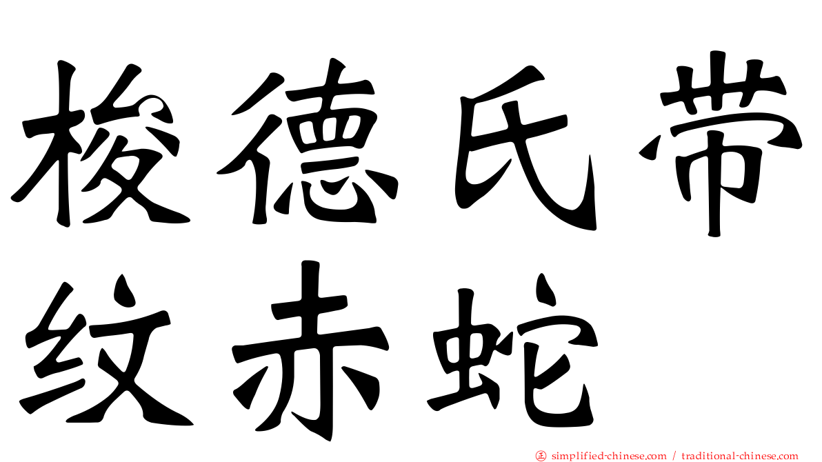 梭德氏带纹赤蛇