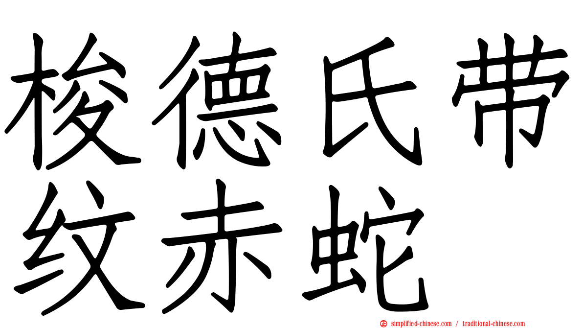梭德氏带纹赤蛇