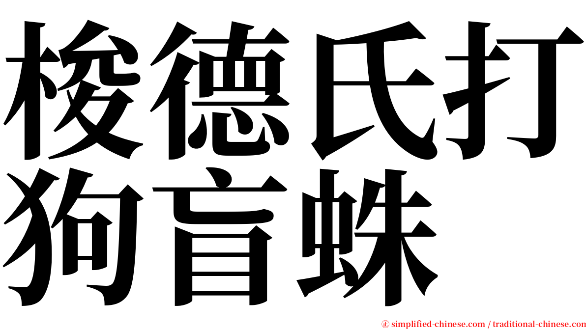 梭德氏打狗盲蛛 serif font