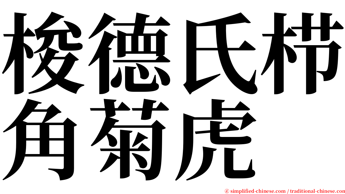 梭德氏栉角菊虎 serif font
