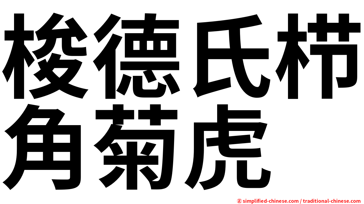 梭德氏栉角菊虎