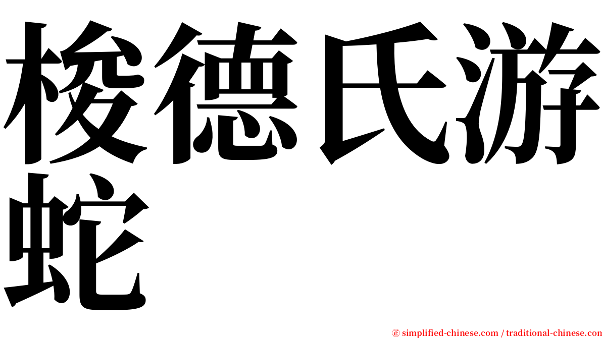 梭德氏游蛇 serif font