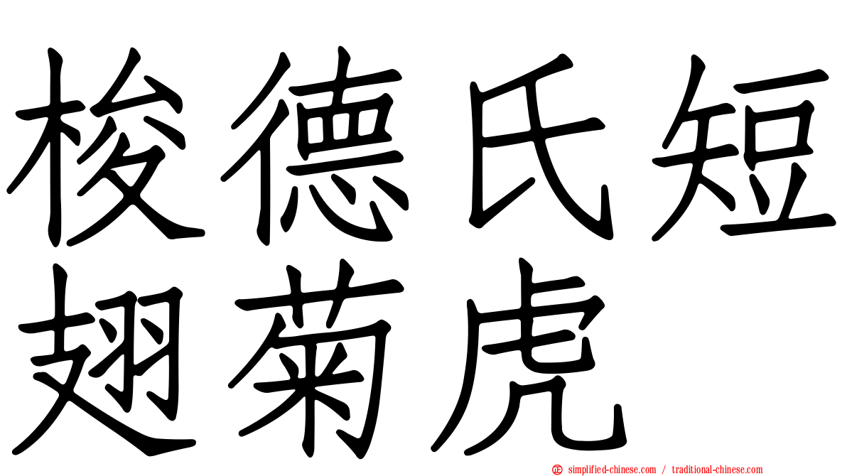 梭德氏短翅菊虎
