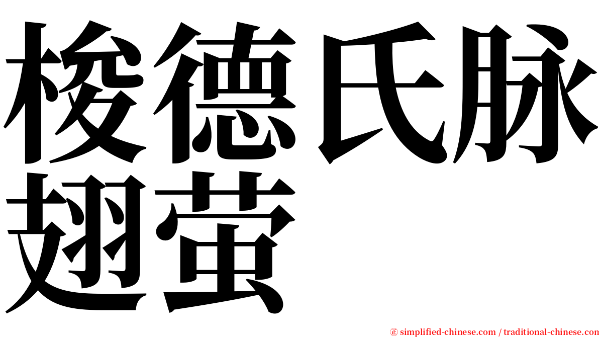 梭德氏脉翅萤 serif font