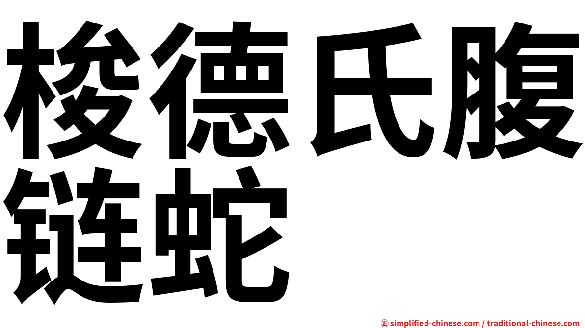 梭德氏腹链蛇