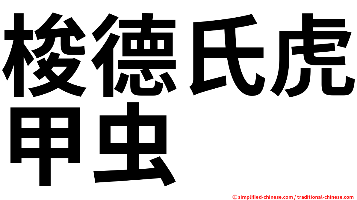 梭德氏虎甲虫