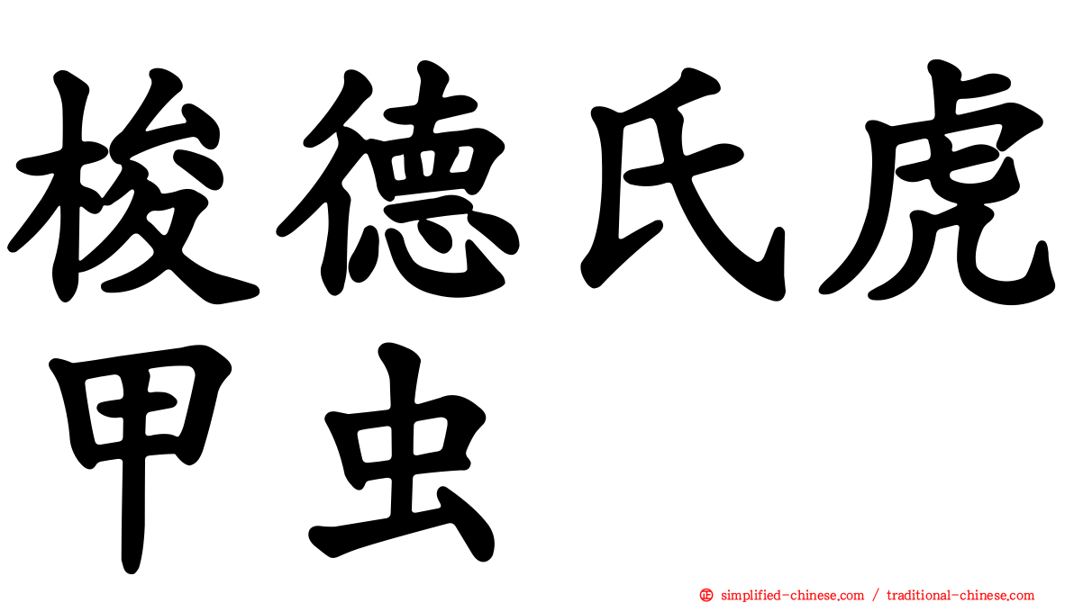 梭德氏虎甲虫