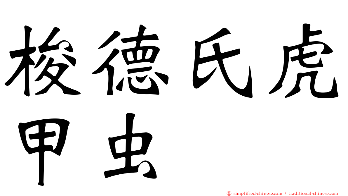 梭德氏虎甲虫