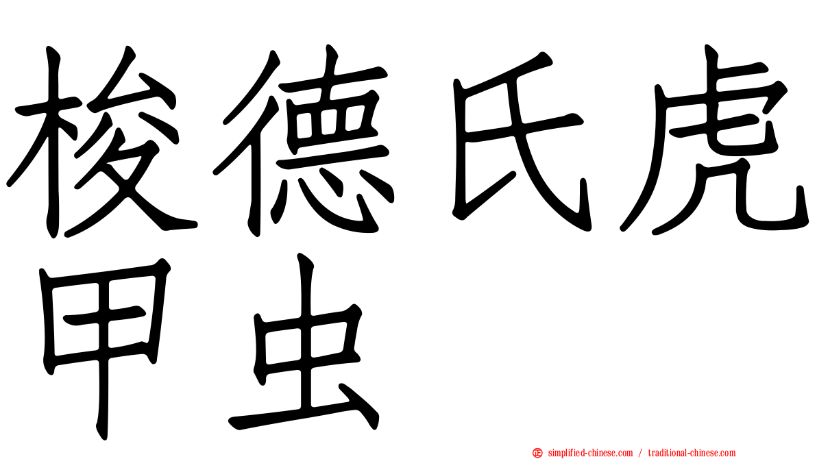 梭德氏虎甲虫
